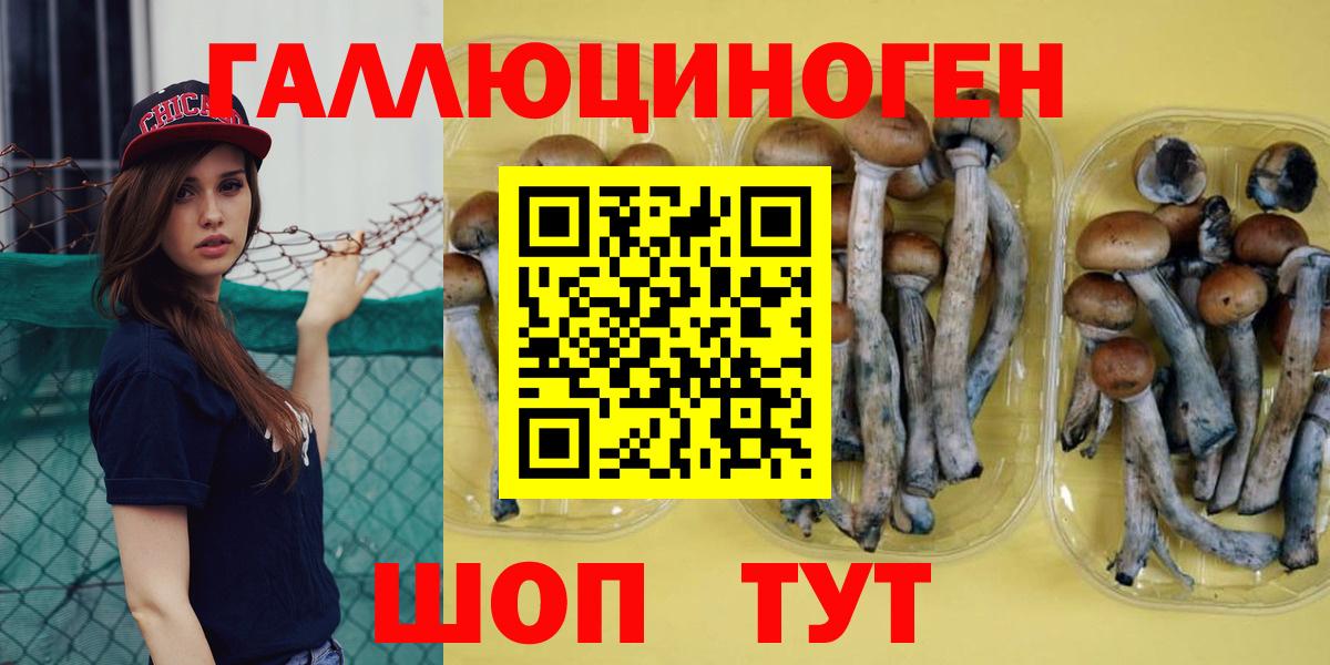Галлюциногенные грибы MAGIC MUSHROOMS Железногорск