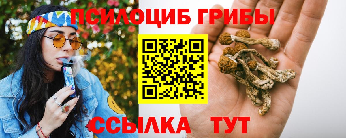 наркота  Вход с VPN  Железногорск  Псилоцибиновые грибы Cubensis 